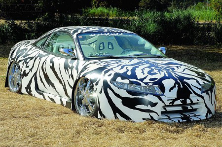 Araba zebra gibi boyanmıştır
