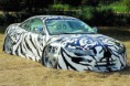 /album/arabada-model/zebra-jpg/